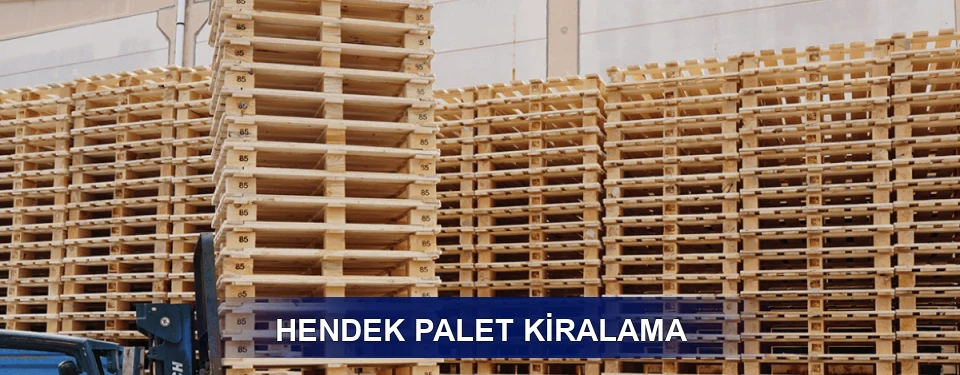 Hendek Uzun Dönem